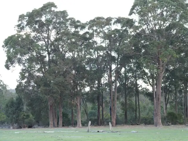 Sixth view of Homely rural property listing, 338 Junction Road, Manjimup WA 6258