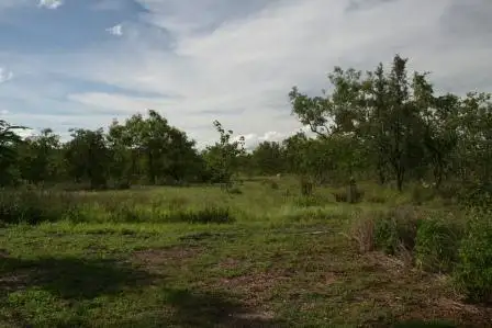 Second view of Homely rural property listing, 139 Murnburlu Road, Katherine NT 850