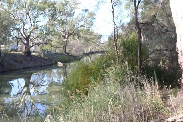 Sixth view of Homely land listing, Allott. 372 THAMM ROAD, Morgan SA 5320
