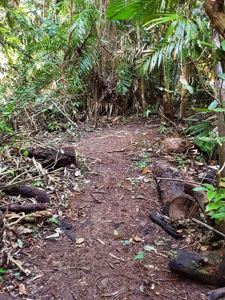 Seventh view of Homely land listing, Lot 145 Quandong Road, Daintree QLD 4873