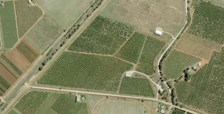 Farm 223 Morley Road, Yoogali NSW 2680