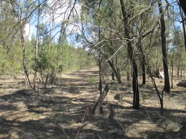 Third view of Homely rural property listing, LOT 91 TIMOTHY ROAD, Tara QLD 4421