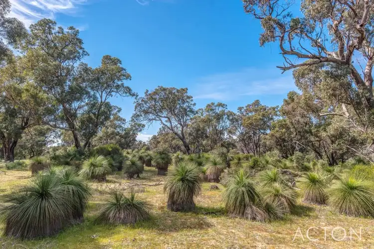Seventh view of Homely land listing, 16 Timber Grove, Two Rocks WA 6037