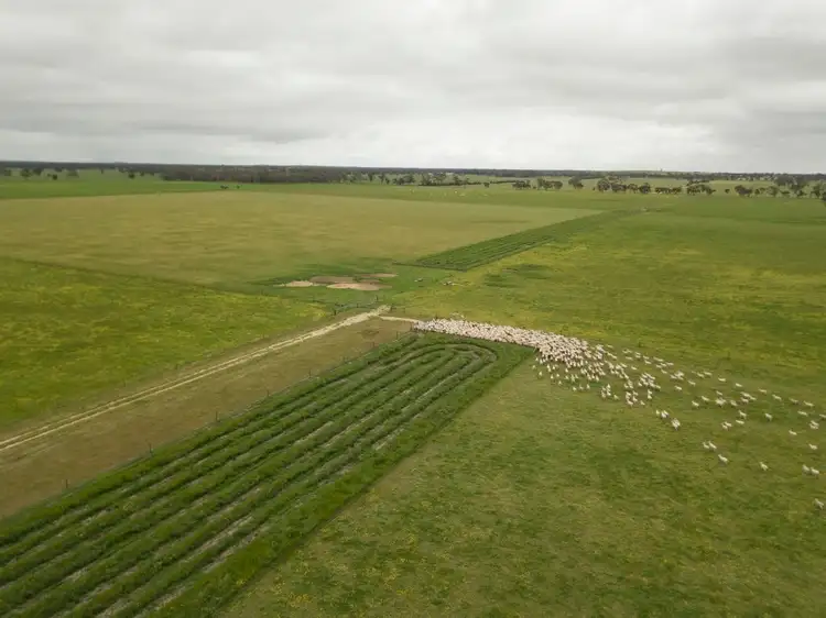 Third view of Homely rural property listing, 828 Padthaway Road, Mundulla SA 5270