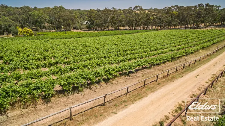 Sixth view of Homely house listing, 25 Needles Road, Williamstown SA 5351
