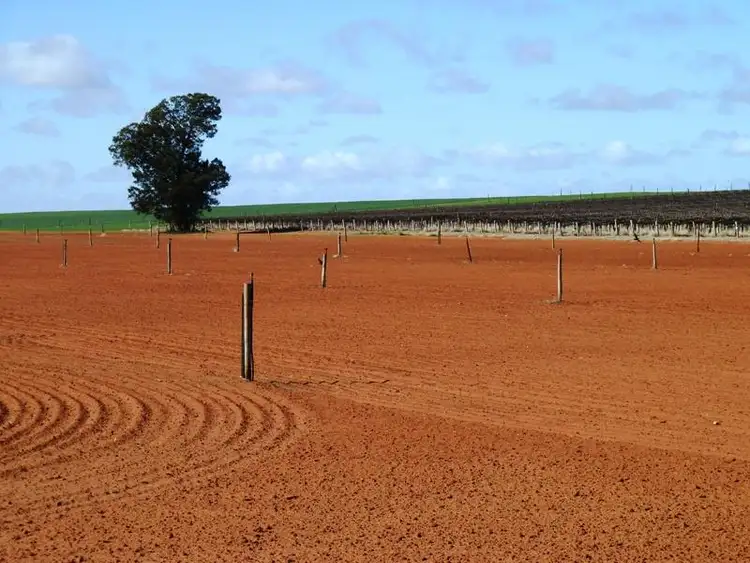 Fourth view of Homely rural property listing, Section 38 Hundred of Gordon, Loxton North SA 5333