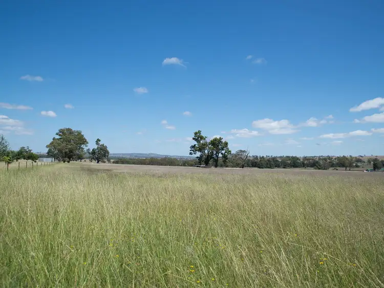 Sixth view of Homely rural property listing, 1807 Ulan Road, Mudgee NSW 2850