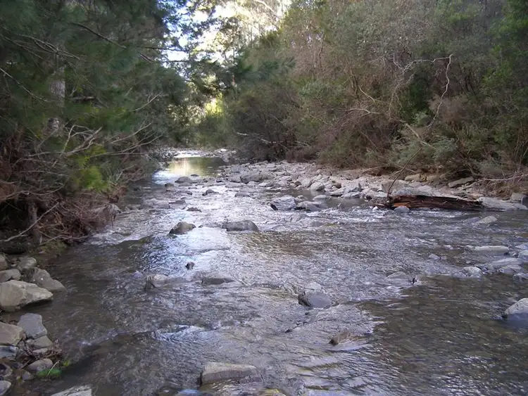 Sixth view of Homely house listing, RA23 Deals Road, Bicheno TAS 7215