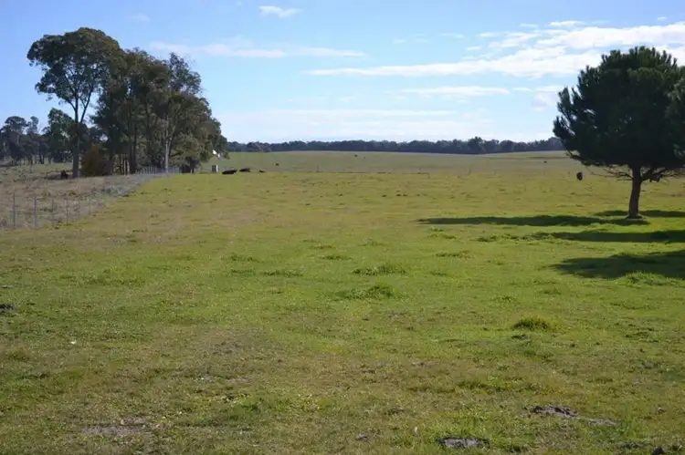 Second view of Homely rural property listing, 74 Craven Road, Rosewood NSW 2652