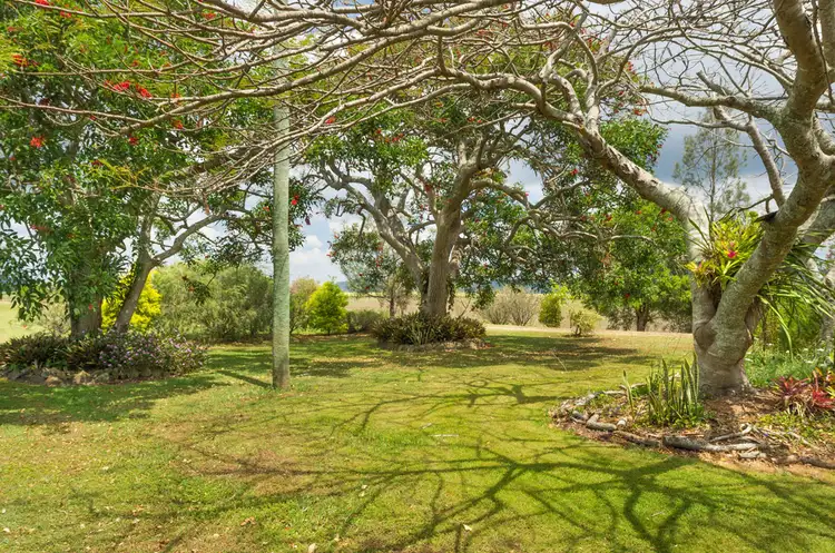 Second view of Homely rural property listing, 236 Watts Lane, Harwood NSW 2465