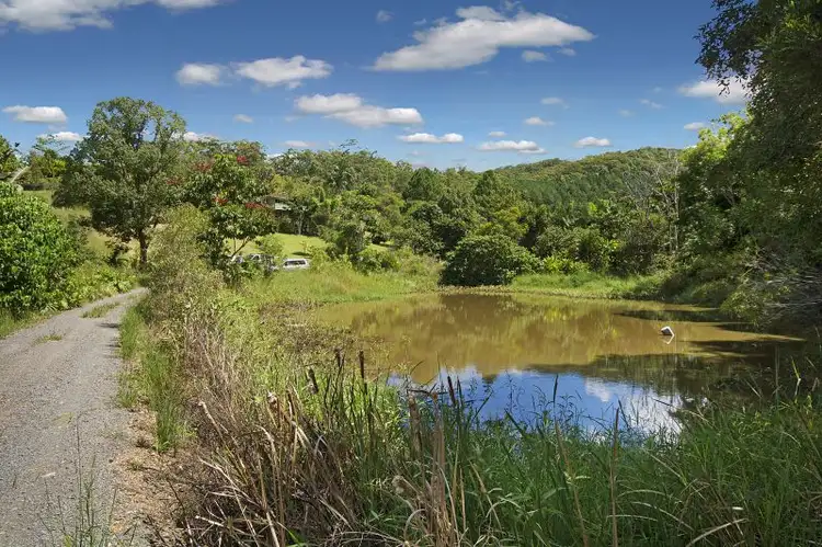 Main view of Homely house listing, 59 West Eumundi Road, Eerwah Vale QLD 4562