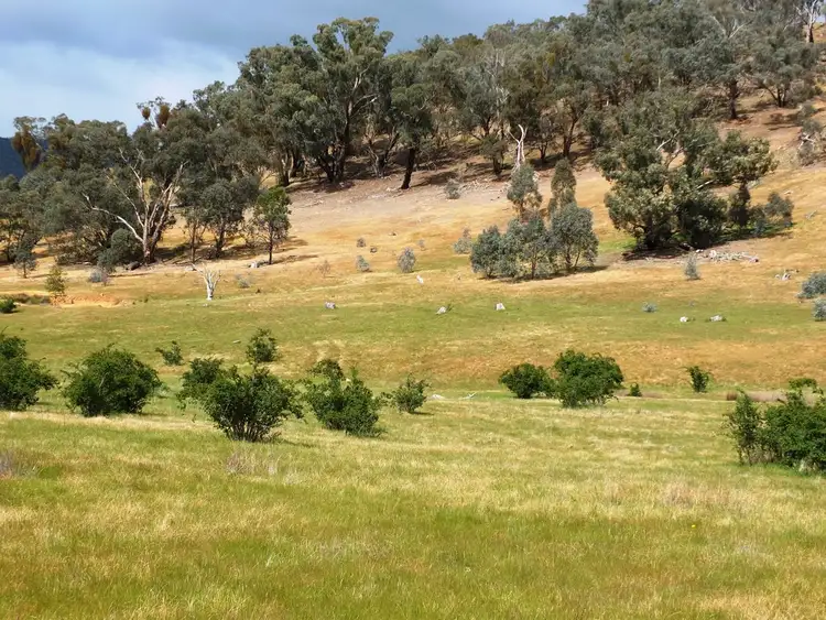 Sixth view of Homely rural property listing, 88D & 89D Government Road, Moonambel VIC 3478