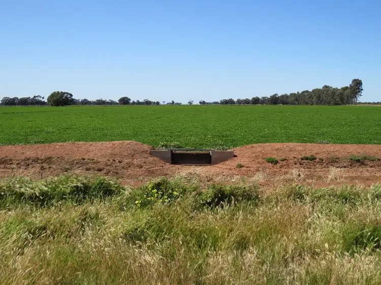 Fifth view of Homely rural property listing, 163 Holzigals Road, Finley NSW 2713