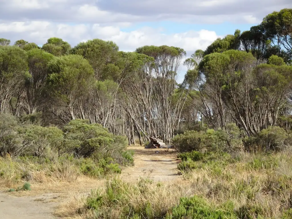 Main view of Homely rural property listing, 649 Bullock Hills Road, Wagin WA 6315