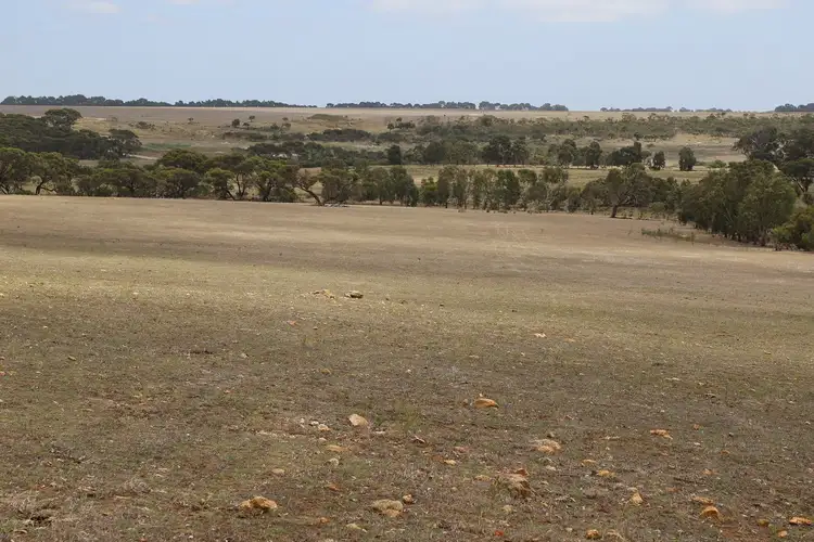 Sixth view of Homely rural property listing, Lot 55 Murray Road, Dalyup WA 6450