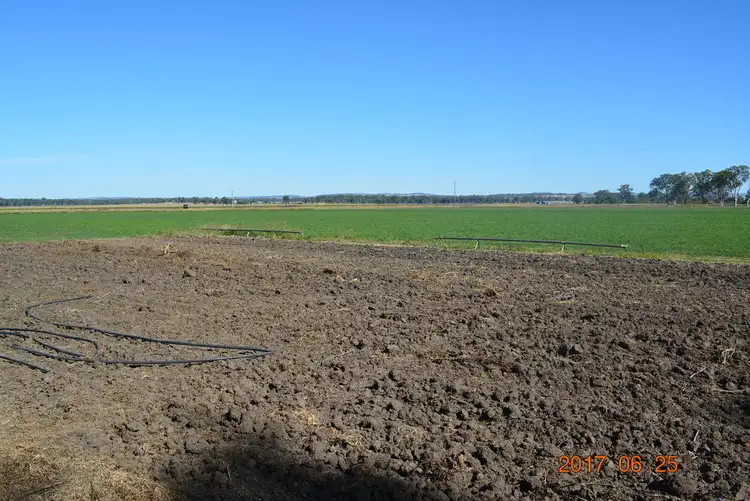 Fifth view of Homely rural property listing, 466 Wheatlands Loop Rd, Wondai QLD 4606