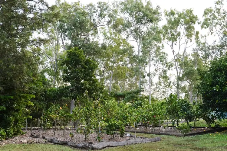 Fifth view of Homely house listing, 53 Mountney Road, Strathdickie QLD 4800