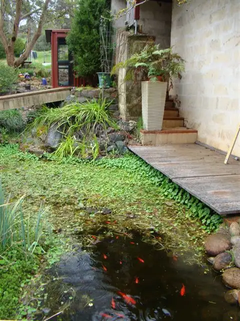 Main view of Homely house listing, 16 Thompson St, Bridgetown WA 6255