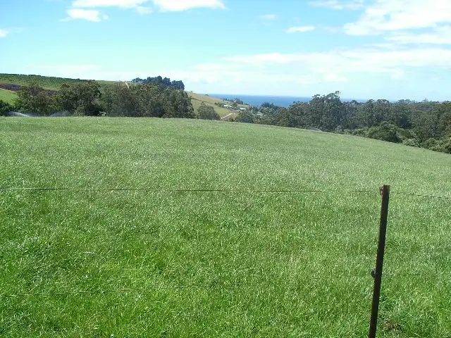 Sixth view of Homely rural property listing, 359 Cuprona Road, Cuprona TAS 7316