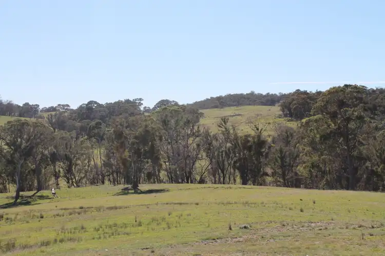 Fifth view of Homely rural property listing, 24b Wallawaugh Road, Mudgee NSW 2850