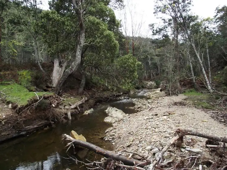 Seventh view of Homely rural property listing, . Henry Street, Mangana TAS 7214