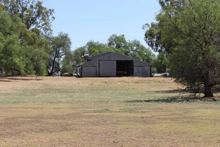 Second view of Homely rural property listing, 458 McCurdies Lane, Savernake NSW 2646