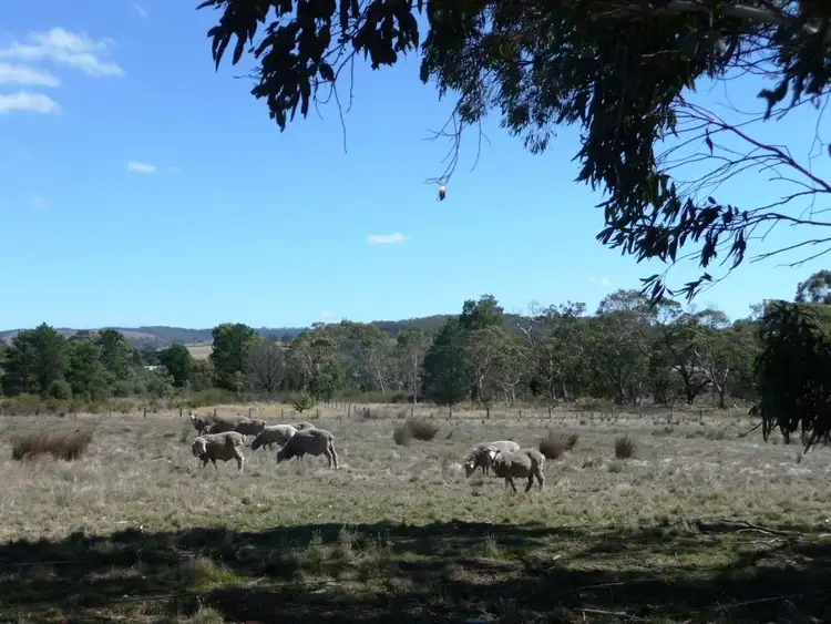 Sixth view of Homely land listing, - Grants Lane, Raglan VIC 3373