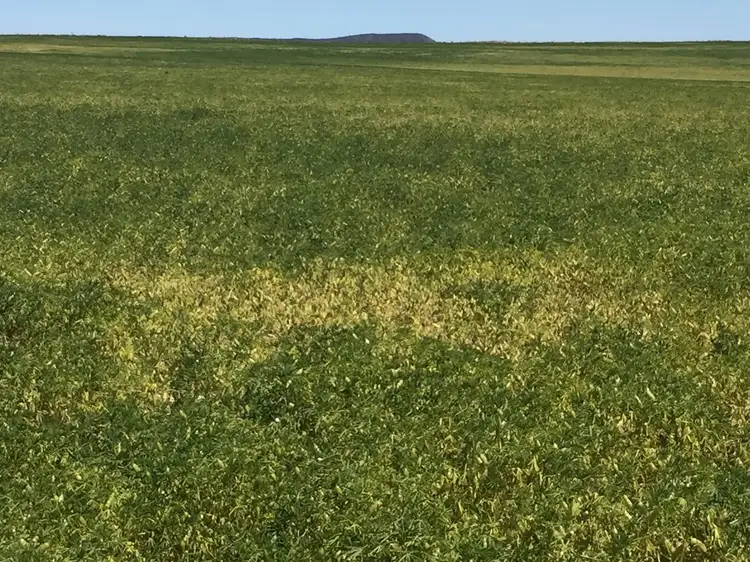 Fourth view of Homely rural property listing, Allotment 1 Chilman's Road, Port Neill SA 5604