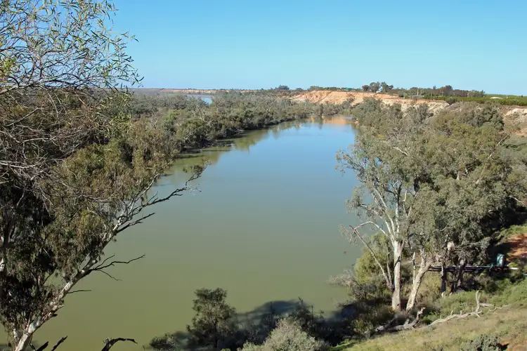 334 Pike Creek Road, Lyrup SA 5343