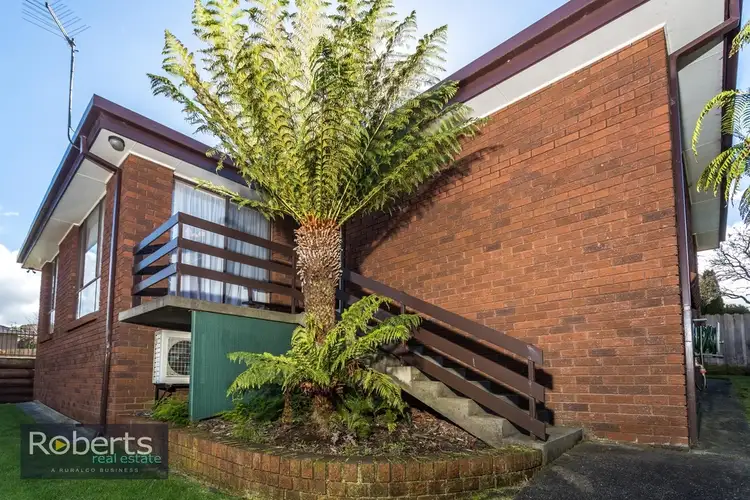 116 Viewbank Road, Newnham TAS 7248
