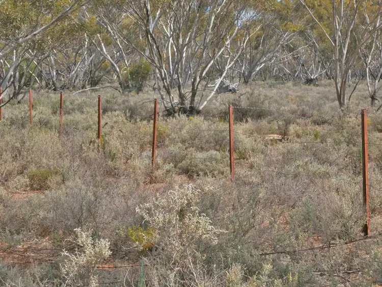 Fourth view of Homely rural property listing, 27 McKay Road, Blanchetown SA 5357