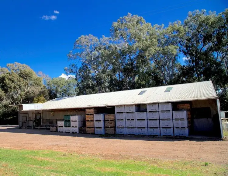 Seventh view of Homely rural property listing, 120 Torgannah Rd, Koonoomoo VIC 3644