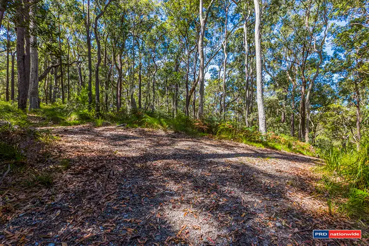 Seventh view of Homely rural property listing, Lot 100 Sea Acres Drive, Maloneys Beach NSW 2536