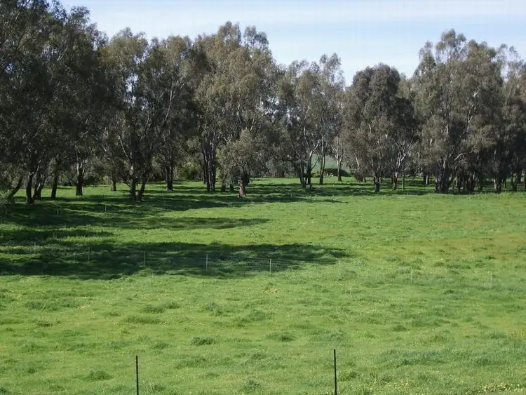 Fourth view of Homely rural property listing, - N/ A Wilkinsons Road Tarcutta via, Wagga Wagga NSW 2650
