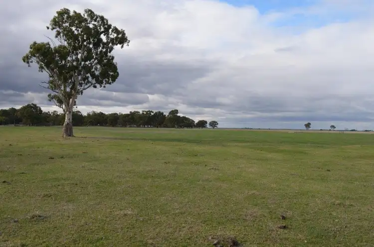 Main view of Homely rural property listing, Lot 277 & 306 Skinner Road, Penola SA 5277