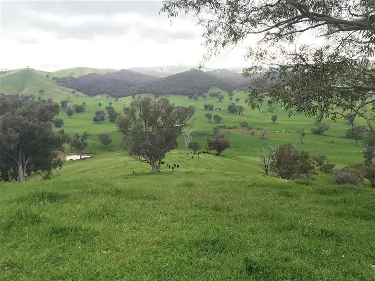 Third view of Homely rural property listing, 3938 Snowy Mountains Highway, Adelong NSW 2729