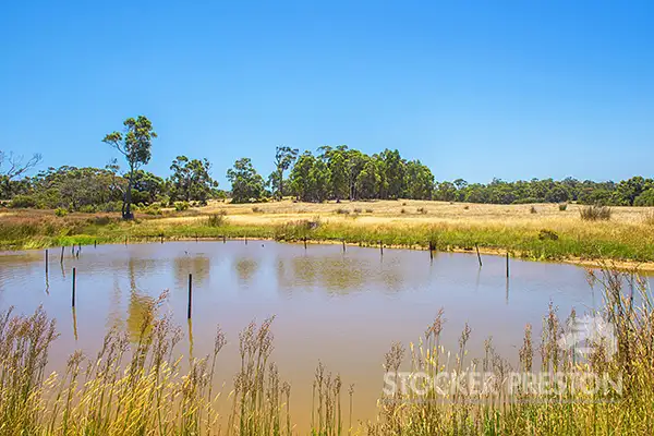 Fifth view of Homely rural property listing, Lot 102 Scott Road, Karridale WA 6288