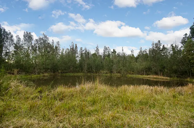 Seventh view of Homely rural property listing, 567 Wooli Road, Pillar Valley NSW 2462