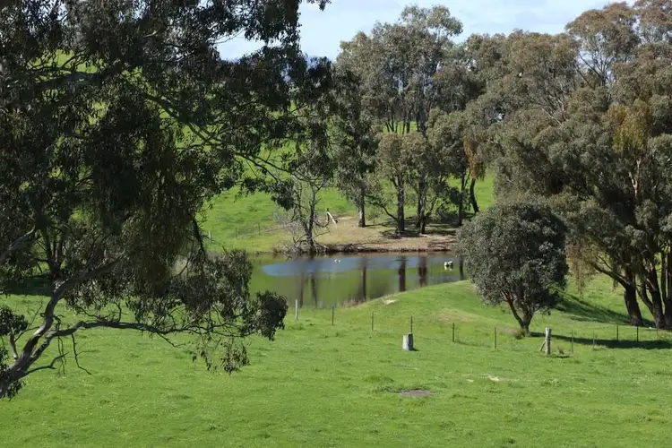 Sixth view of Homely rural property listing, 239 Murrindindi Road, Murrindindi VIC 3717