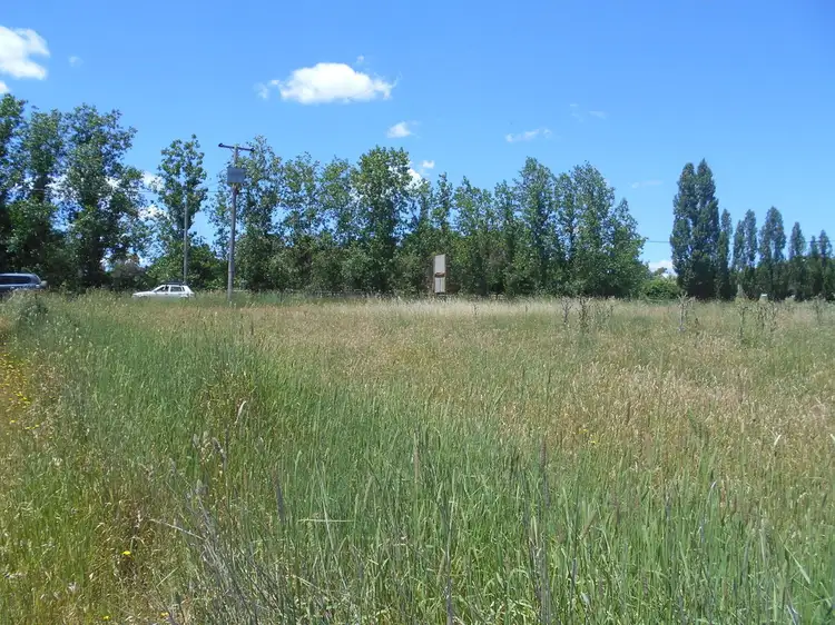 Third view of Homely rural property listing, 4701 Olypmic Highway, Young NSW 2594