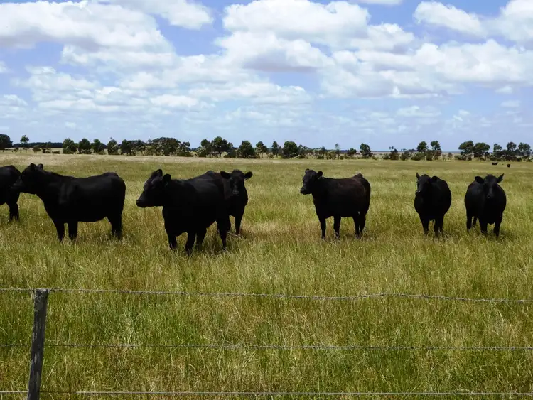 Fifth view of Homely rural property listing, - Terang-Woolsthorpe Road, Ballangeich VIC 3279