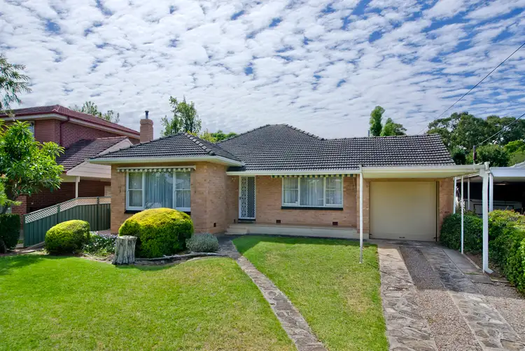 Main view of Homely house listing, 3 Trestrail Street, Magill SA 5072