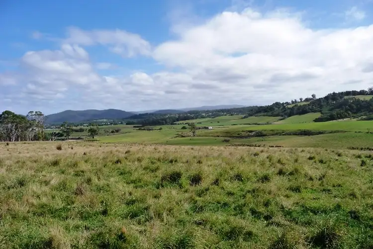 Seventh view of Homely rural property listing, 83 Annie Street, St Helens TAS 7216