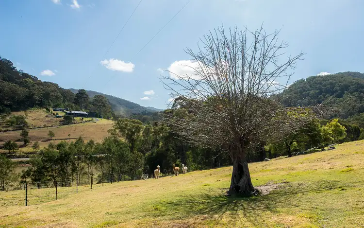 Seventh view of Homely house listing, 2866 MOUNT DARRAGH ROAD, Wyndham NSW 2550