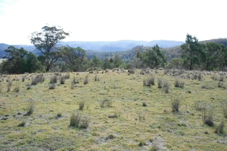Second view of Homely rural property listing, 585 Newfoundland Rd, Taralga NSW 2580