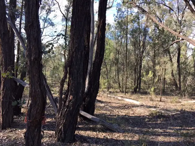 Second view of Homely rural property listing, Lot 75 WEST VALLEY ROAD, Tara QLD 4421