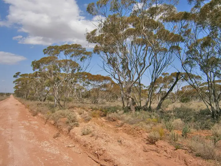 Second view of Homely rural property listing, 27 McKay Road, Blanchetown SA 5357