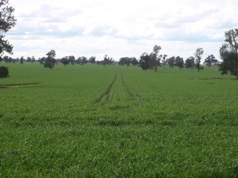 Main view of Homely rural property listing, 927 Yarrawonga Road, Berrigan NSW 2712