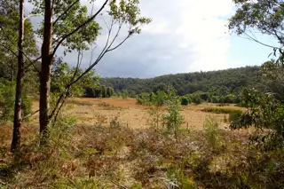 Sixth view of Homely rural property listing, Lots 104 Woodburn Road, Milton NSW 2538