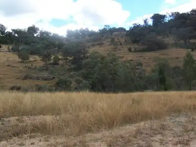 Fifth view of Homely rural property listing, 00 Foggs Crossing, Bigga NSW 2583
